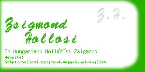 zsigmond hollosi business card